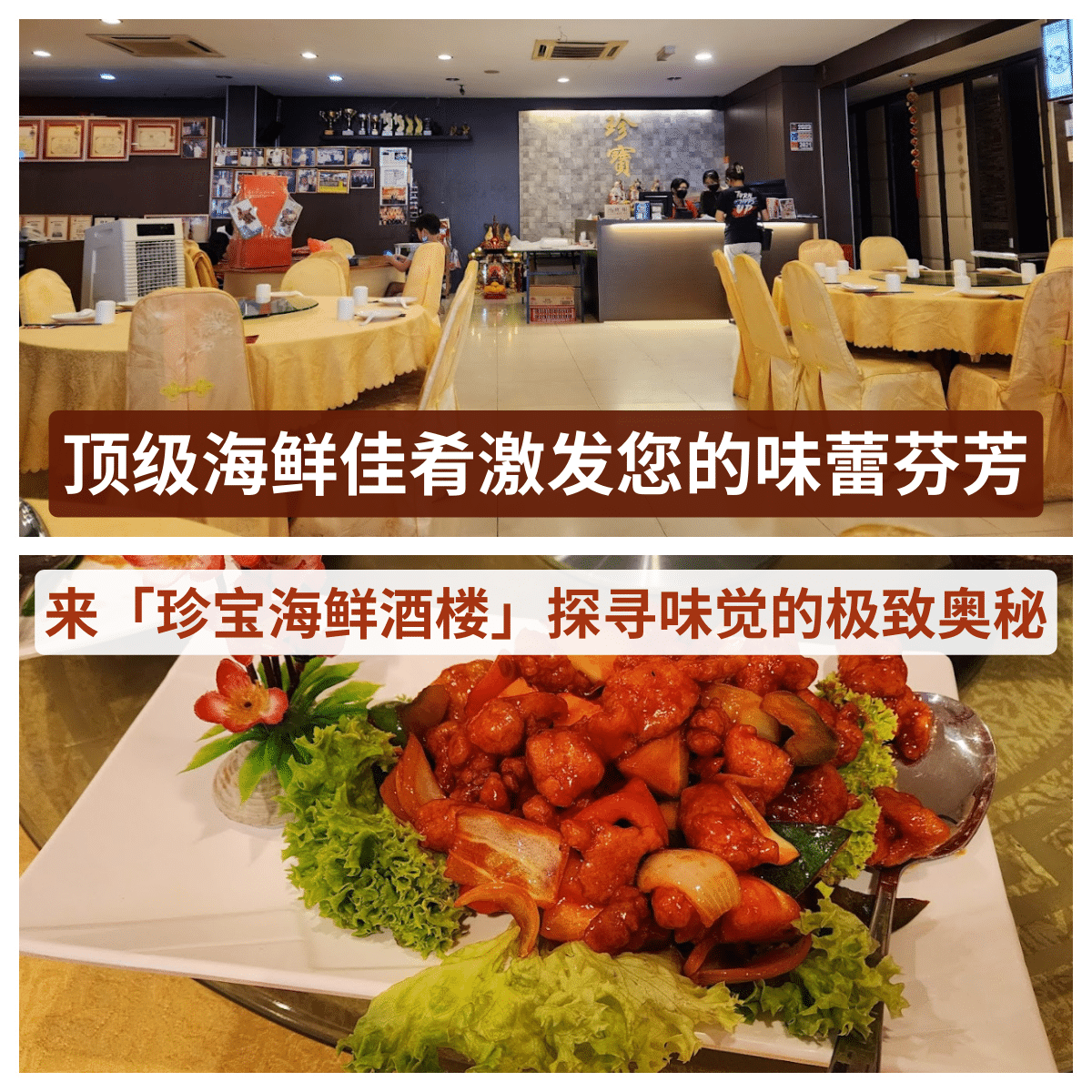 “马来西亚的「 珍宝海鲜酒楼 」：一场视觉与味觉的双重盛宴，带你走进中华美食的魅力世界。”