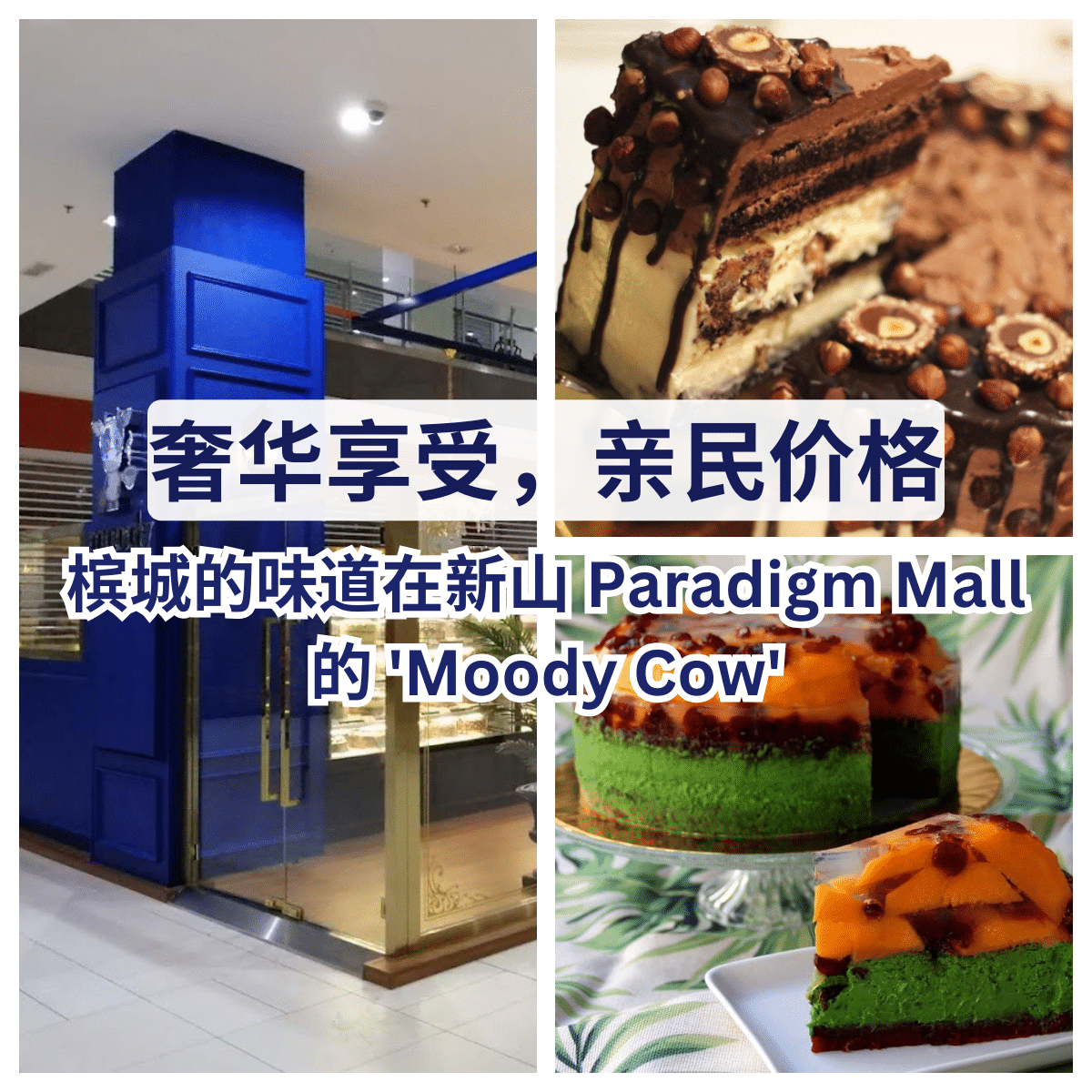 ” Moody Cow “：从槟城的小巷到新山的购物中心，美味不断。