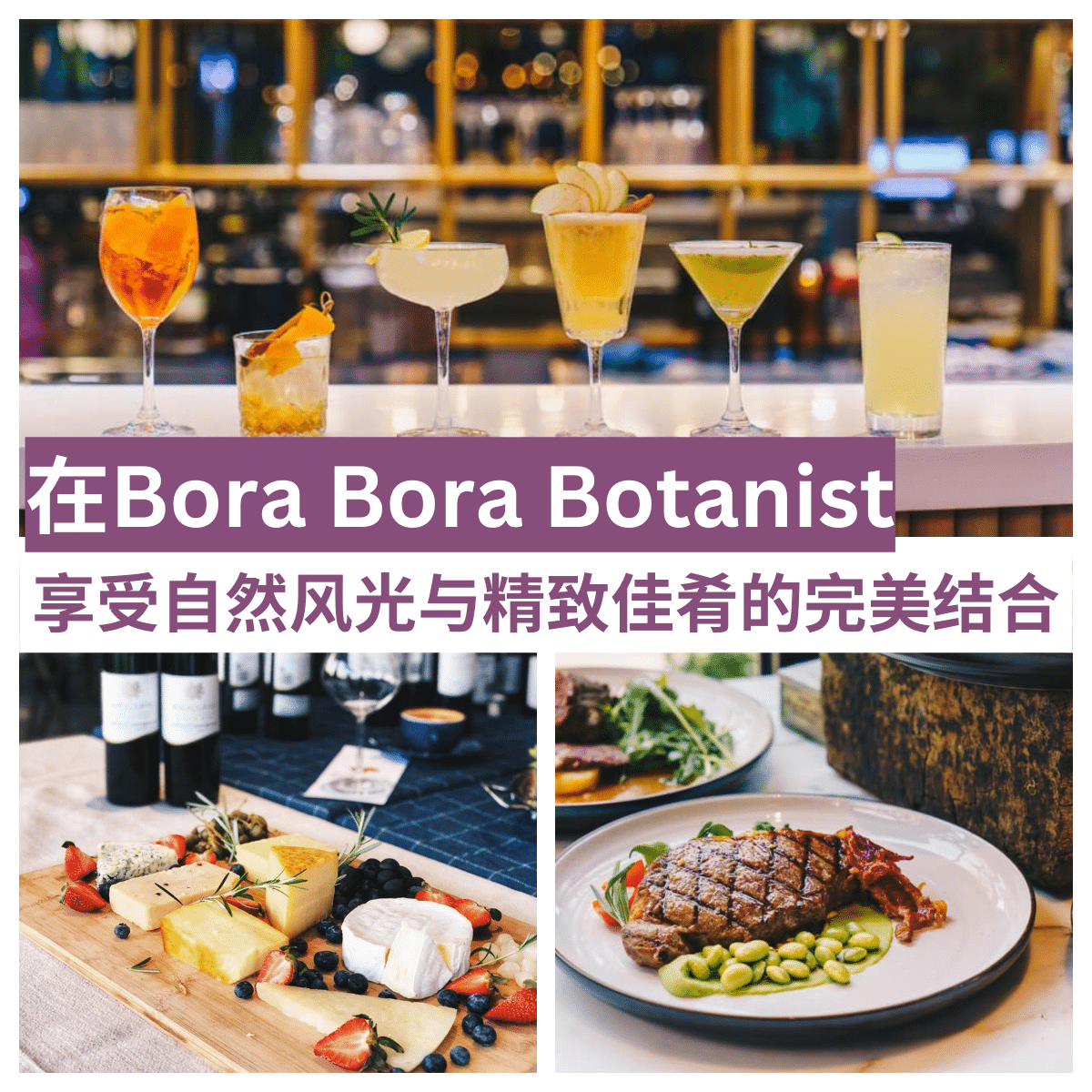 ” Bora Bora Botanist ：东海岸的美食天堂，体验自然与美味的完美结合。”